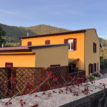 La Fucinaia Pet Friendly B&B Campiglia Marittima Exterior foto