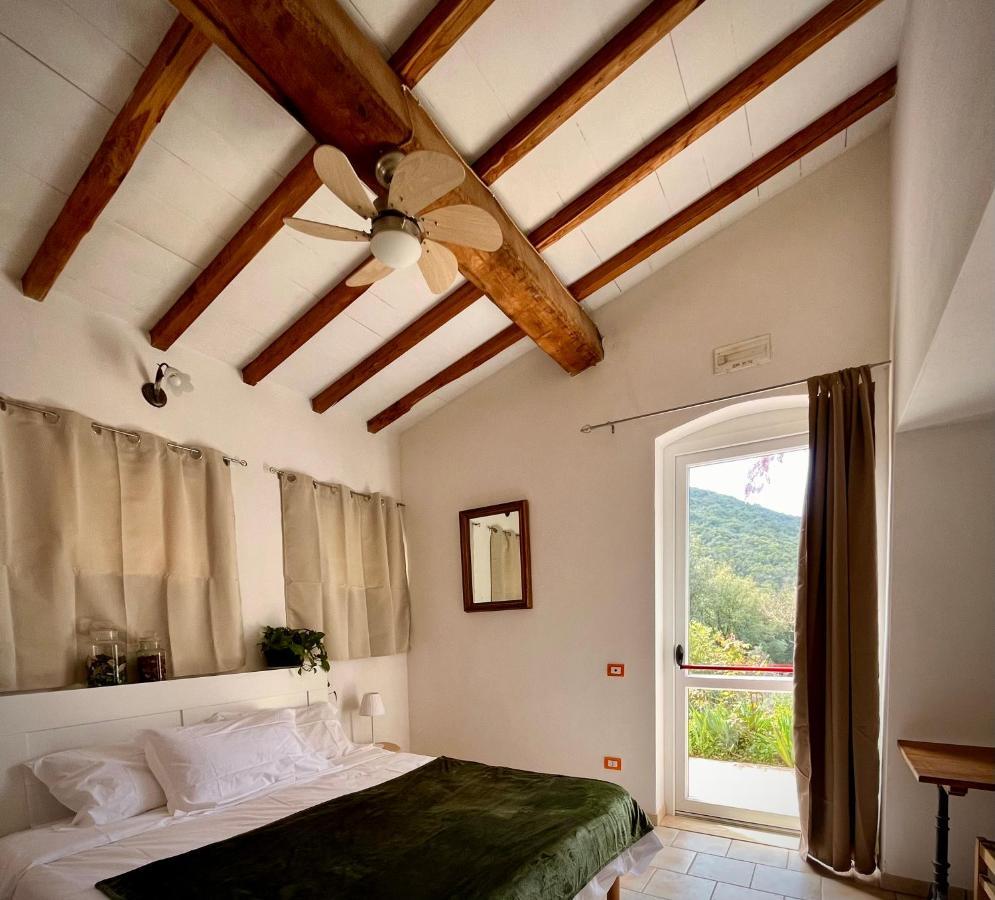 La Fucinaia Pet Friendly B&B Campiglia Marittima Exterior foto
