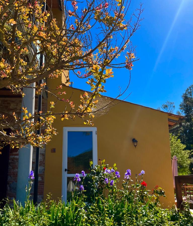 La Fucinaia Pet Friendly B&B Campiglia Marittima Exterior foto