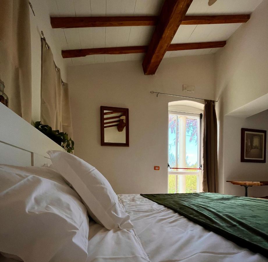 La Fucinaia Pet Friendly B&B Campiglia Marittima Exterior foto