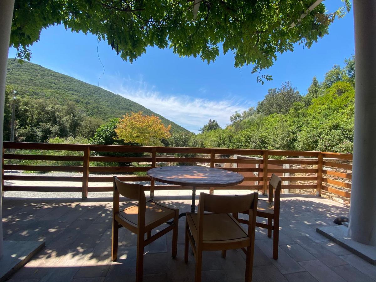 La Fucinaia Pet Friendly B&B Campiglia Marittima Exterior foto