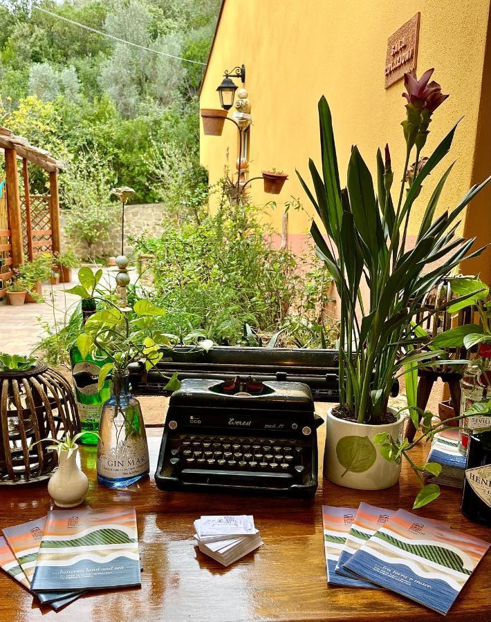 La Fucinaia Pet Friendly B&B Campiglia Marittima Exterior foto