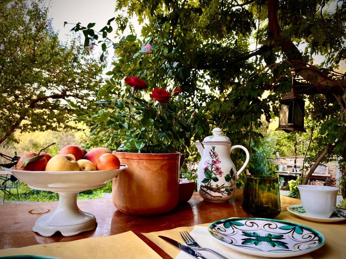 La Fucinaia Pet Friendly B&B Campiglia Marittima Exterior foto