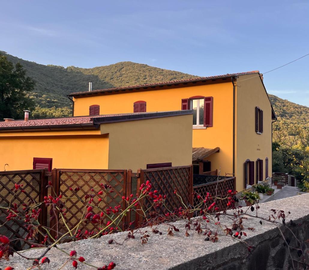 La Fucinaia Pet Friendly B&B Campiglia Marittima Exterior foto