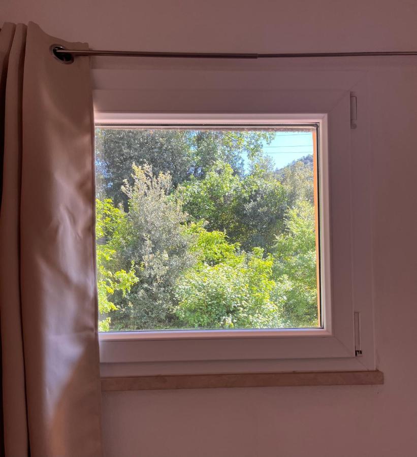 La Fucinaia Pet Friendly B&B Campiglia Marittima Exterior foto