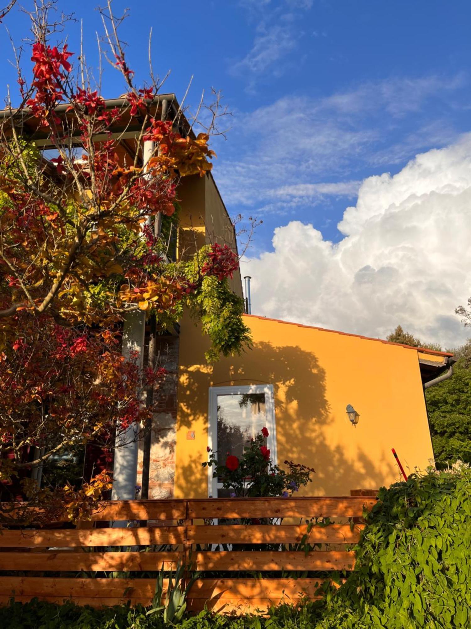 La Fucinaia Pet Friendly B&B Campiglia Marittima Exterior foto