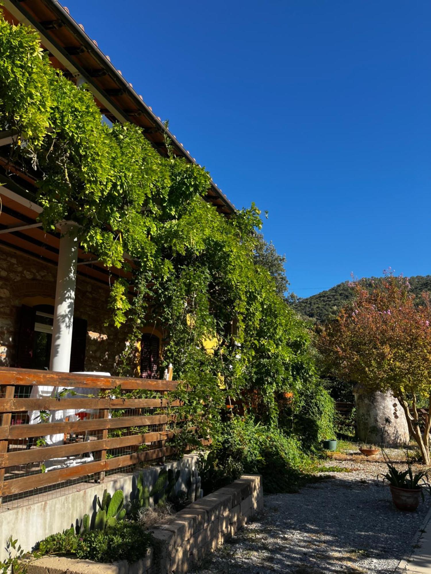 La Fucinaia Pet Friendly B&B Campiglia Marittima Exterior foto