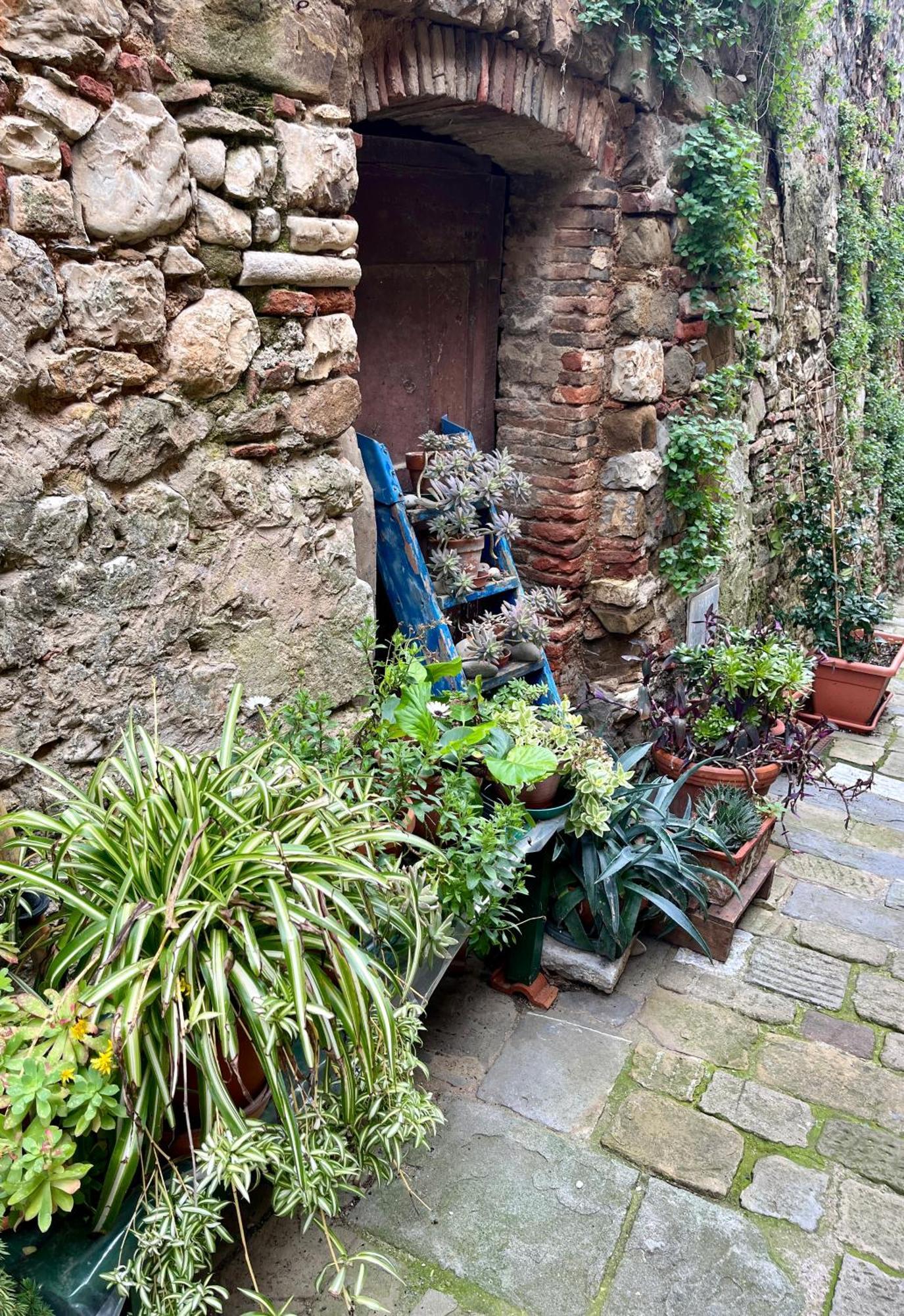 La Fucinaia Pet Friendly B&B Campiglia Marittima Exterior foto