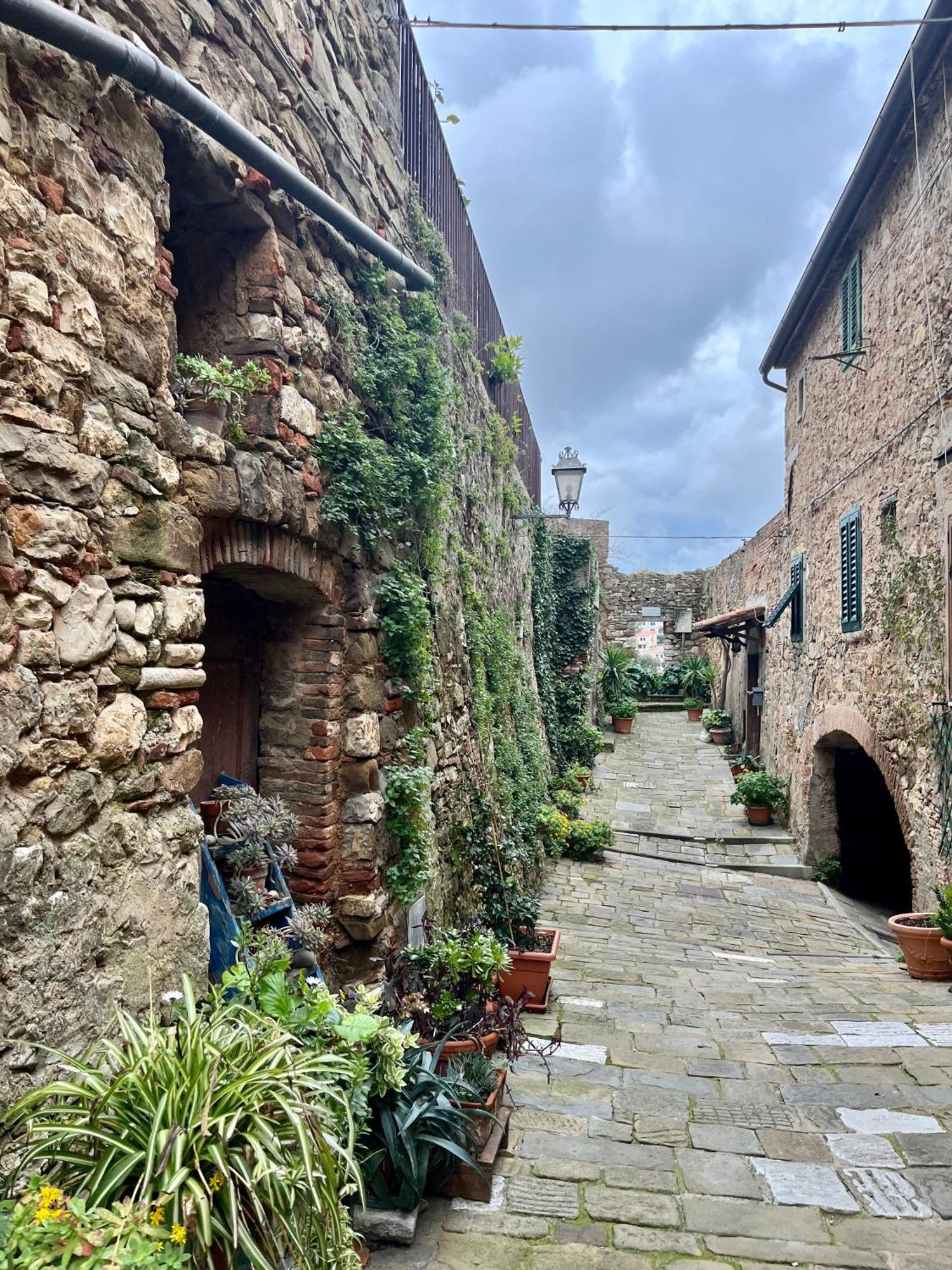 La Fucinaia Pet Friendly B&B Campiglia Marittima Exterior foto