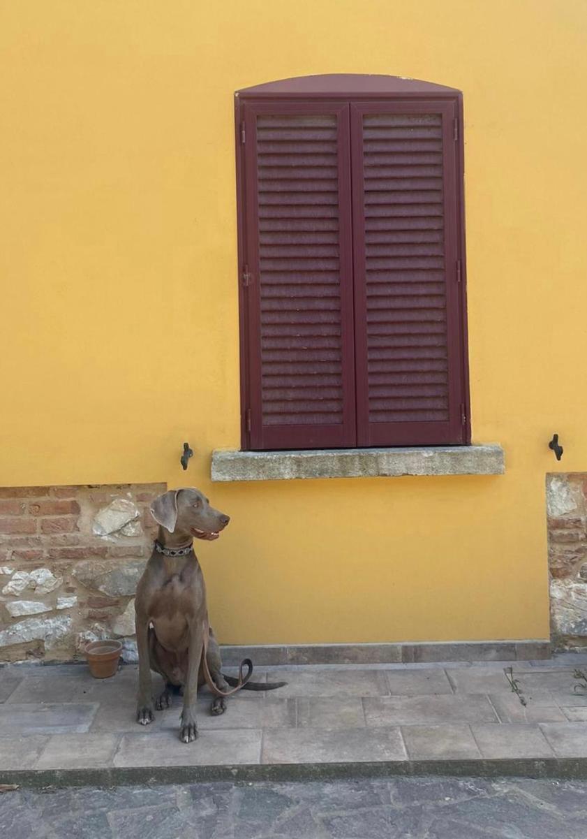 La Fucinaia Pet Friendly B&B Campiglia Marittima Exterior foto