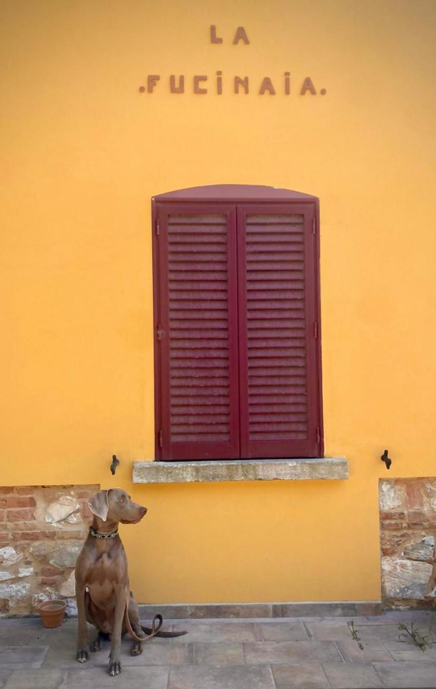 La Fucinaia Pet Friendly B&B Campiglia Marittima Exterior foto