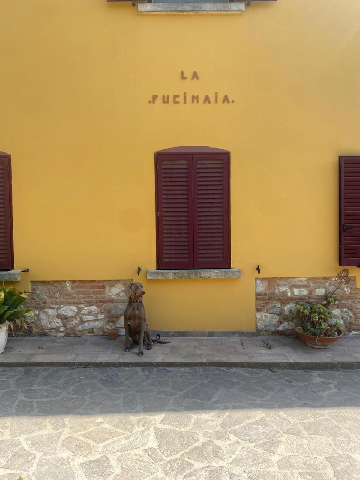 La Fucinaia Pet Friendly B&B Campiglia Marittima Exterior foto