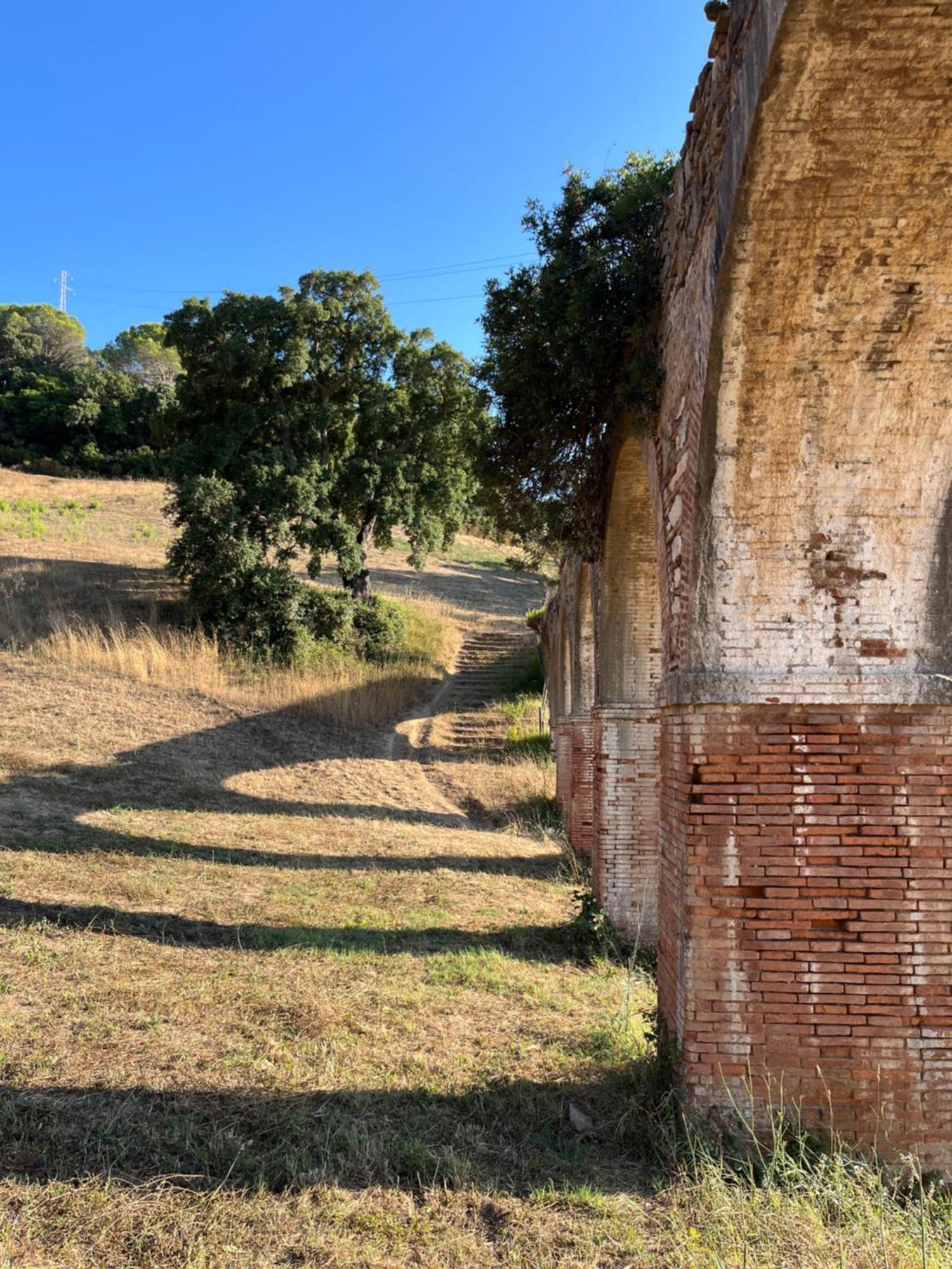 La Fucinaia Pet Friendly B&B Campiglia Marittima Exterior foto